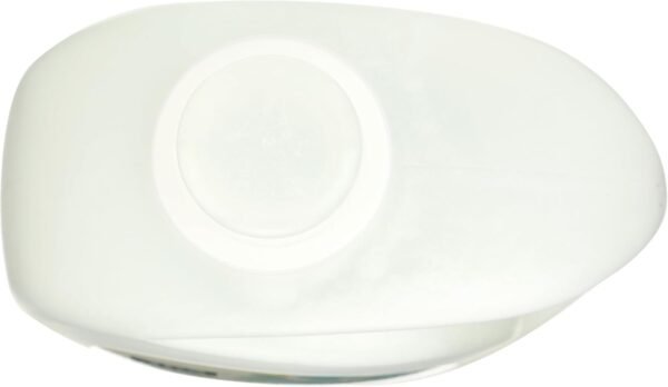 Organic Concentrated Laundry Detergent by Whole Foods Market Review Reveals Powerful Unscented Cleaning