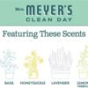 Mrs Meyers Clean Day Liquid Dish Soap Mint Review Biodegradable Grease Cutter