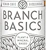Branch Basics Concentrate Review Best All-Purpose Cleaner Refill for Sustainable Homes