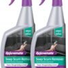 71Mm6HvEkoL._AC_SL1500_ Rejuvenate Soap Scum Remover Review Best Non-Abrasive Shower Glass Cleaner