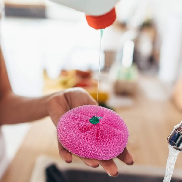 Blulu Plastic Dish Scrubbers Review Best Non Scratch Mesh Scouring Pads for Kitchen