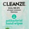 Cleanze Antibacterial Hand Sanitizing Wipes Review Kills Germs with Aloe Care