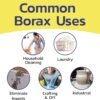 Raw Borax 10 lbs Review Banner Chemical Best Multipurpose Cleaner and Stain Remover