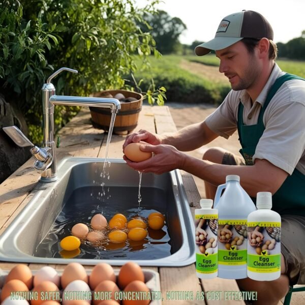 817OBhrwHPL._AC_SL1500_ CareFree Enzymes Liquid Detergent Review Reveals Powerful Egg Cleaning Without Bloom Damage