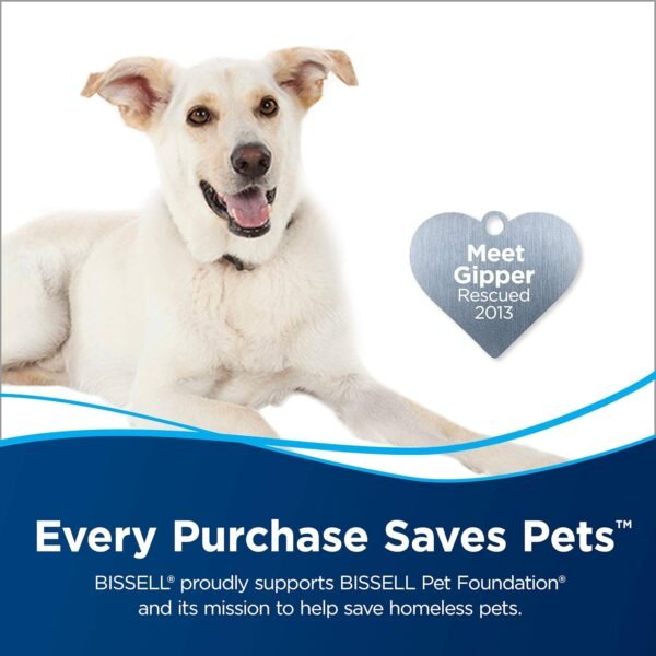 81B4sUwQefL._AC_SL1500_ Bissell PRO MAX Carpet Cleaner Review Deep Cleaning and Odor Removal with Febreze Formula