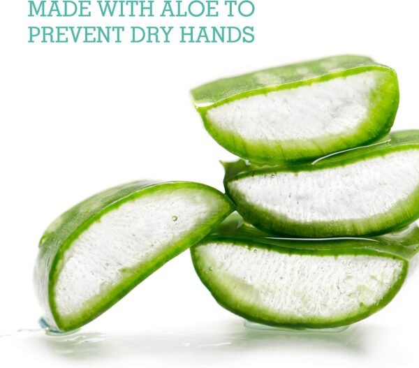 Cleanze Antibacterial Hand Sanitizing Wipes Review Kills Germs with Aloe Care