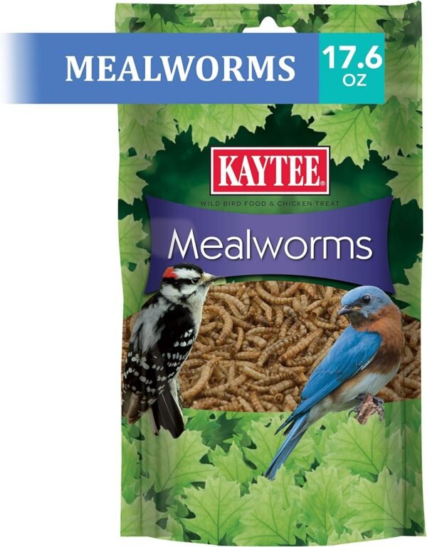 Kaytee Wild Bird Food Mealworms Review High Protein Treat for Bluebirds and Cardinals