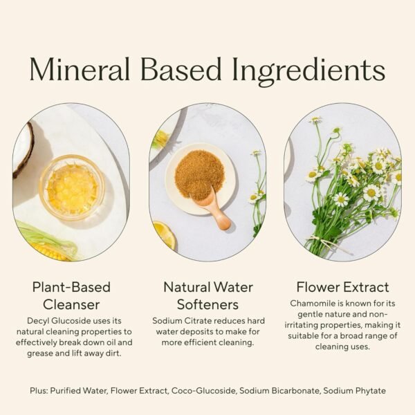 Branch Basics Concentrate Review Best All-Purpose Cleaner Refill for Sustainable Homes