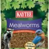 Kaytee Wild Bird Food Mealworms Review High Protein Treat for Bluebirds and Cardinals
