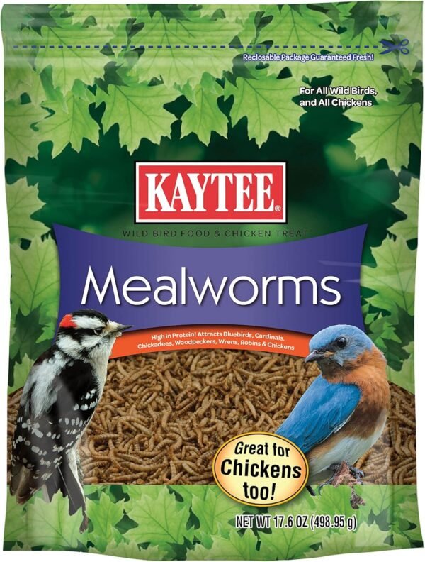 Kaytee Wild Bird Food Mealworms Review High Protein Treat for Bluebirds and Cardinals