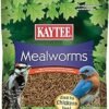Kaytee Wild Bird Food Mealworms Review High Protein Treat for Bluebirds and Cardinals