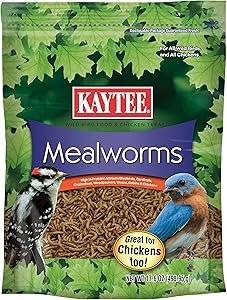 Kaytee Wild Bird Food Mealworms Review High Protein Treat for Bluebirds and Cardinals