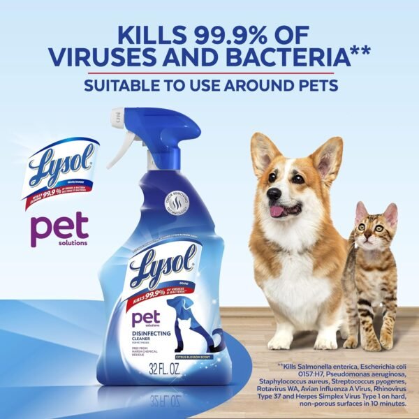 Lysol Pet Solutions Disinfecting Cleaning Spray Review Effective Odor Removal and Sanitizing Power