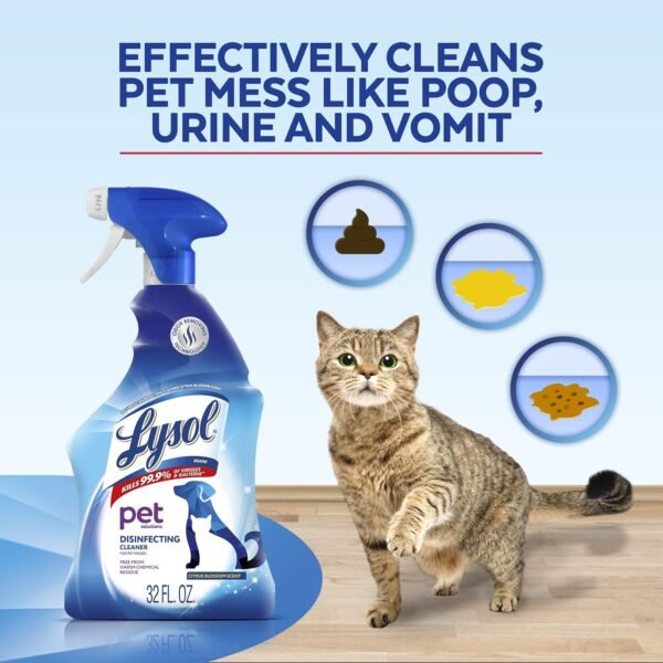 Lysol Pet Solutions Disinfecting Cleaning Spray Review Effective Odor Removal and Sanitizing Power