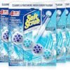 913usKSNpJL.__AC_SX300_SY300_QL70_ML2_ Soft Scrub 4-in-1 Rim Hanger Toilet Cleaner Review Fighting Rings and Freshness